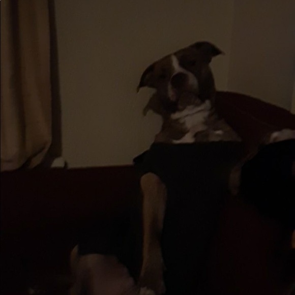 Meet your Posher, Ebin - Picture 1 of 1